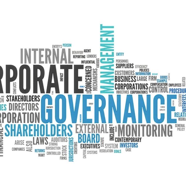 La riforma del Testo Unico della Finanza e le nuove prospettive della corporate governance degli emittenti