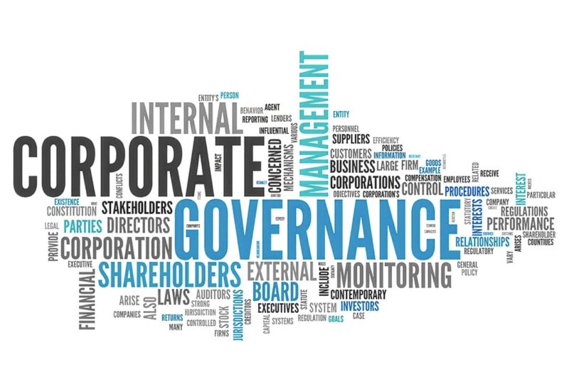 La riforma  del Testo Unico della Finanza e le nuove prospettive della corporate governance degli emittenti